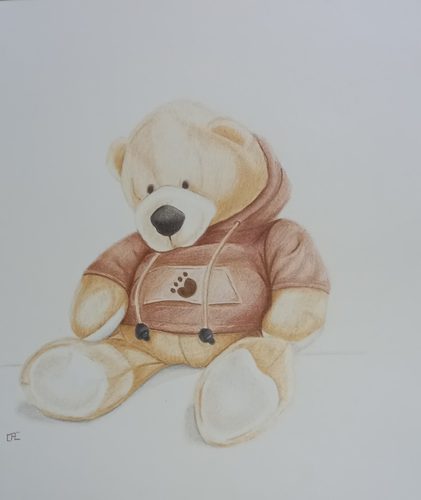 Carrie-Anne, still life study of Teddy bear, coloured pencils.